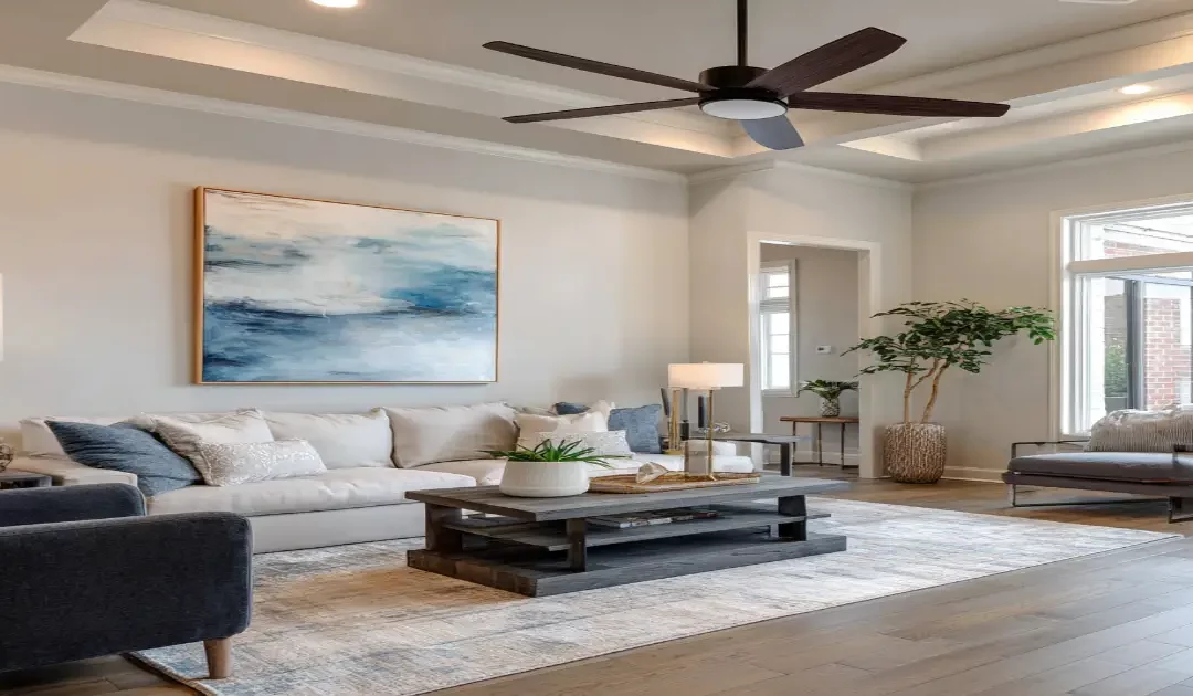 Ceiling Fan Installation Albany GA